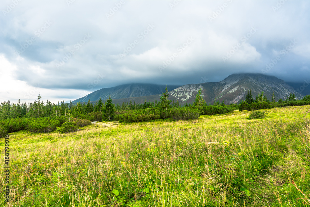 Green landscape of hills and sky. Meadow with grass at spring in mountains, Carpathians, Tatra National Park in Poland