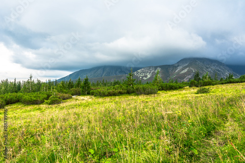 Green landscape of hills and sky. Meadow with grass at spring in mountains  Carpathians  Tatra National Park in Poland