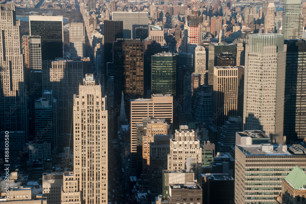 Fototapeta premium Landscape in Manhattan