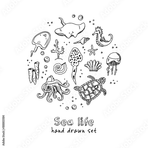Hand drawn doodle sea life set.