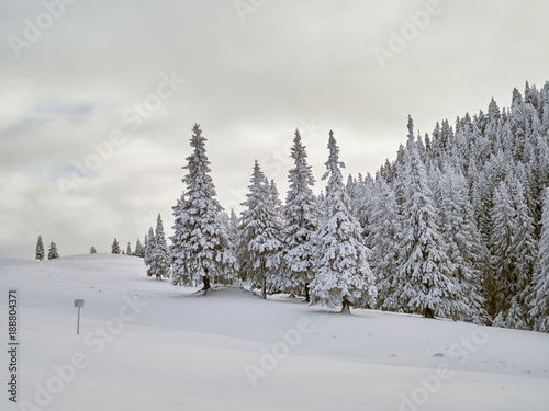 winter landscape with trees and mountains covered with snow and frost © bereta