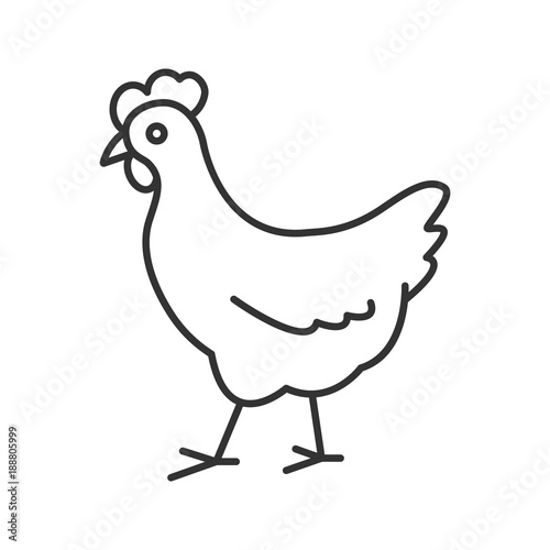 Chicken linear icon