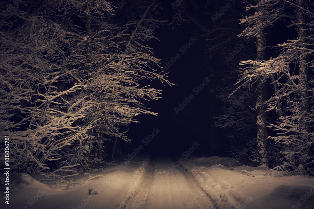 Landscape of spooky winter forest covered by snow Stock Photo | Adobe Stock