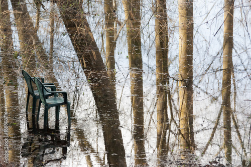 Foto Deux chaises abandonnées sous des peupliers inondés