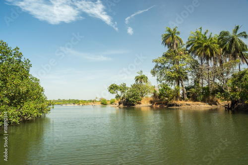 A tributary of the River Gambia near Makasutu Forest in Gambia, Africa © Jessica Dale