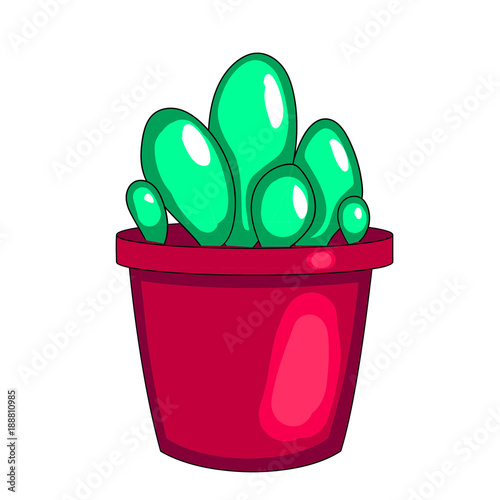 Houseplant, cactus in a pot. White background