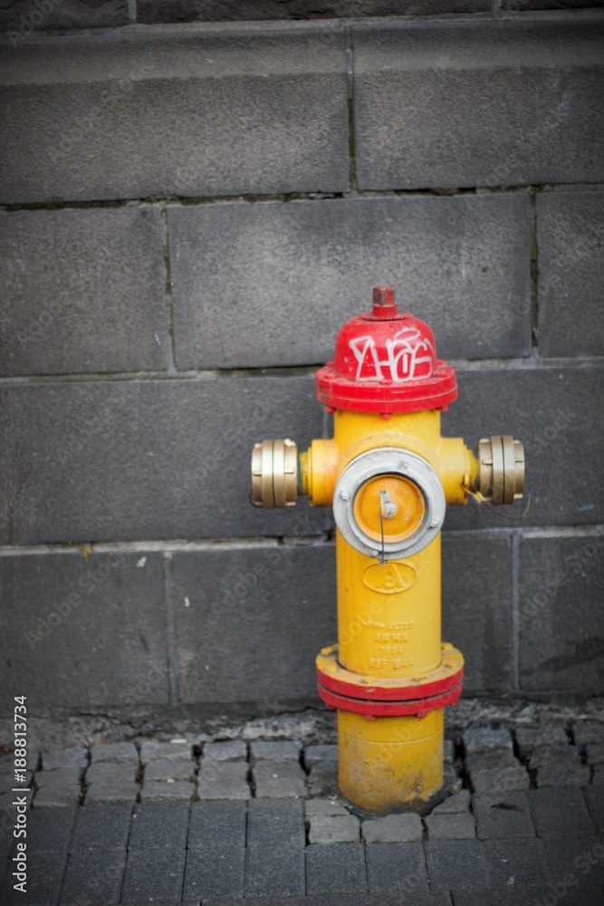 Bright fire hydrant in Reykjavik