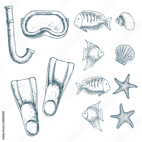 Diving mask and flippers on white background, cartoon illustration of beach accessories for scuba diving. Vector