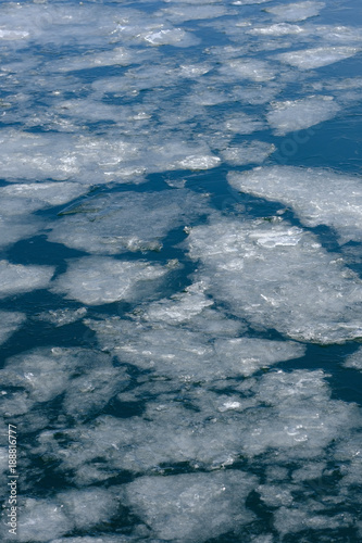 諏訪湖の流氷