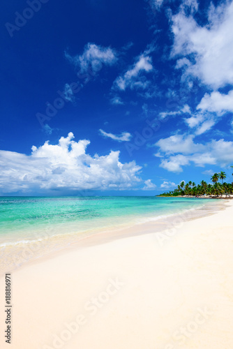 Fototapeta Naklejka Na Ścianę i Meble -  paradise beach beautiful white sand with palm tree in the resort of caribbean