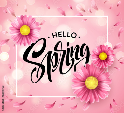 Fototapeta Naklejka Na Ścianę i Meble -  Daisy Flower Background and Hello Spring Lettering. Vector Illustration