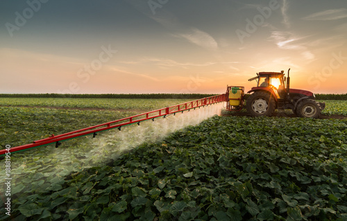 Foto Tractor spraying pesticides on vegetable field with sprayer at spring