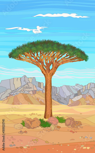 Tropical tree of the island of Socotra, hand drawing ornamental landscape trees and stones