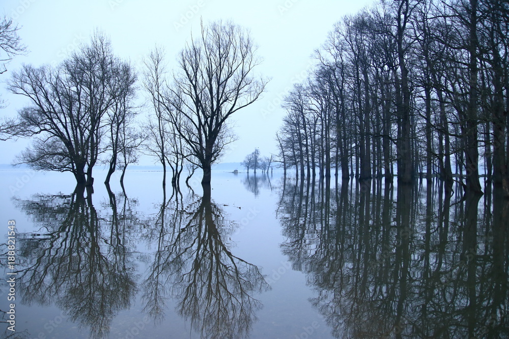 Flood Flood