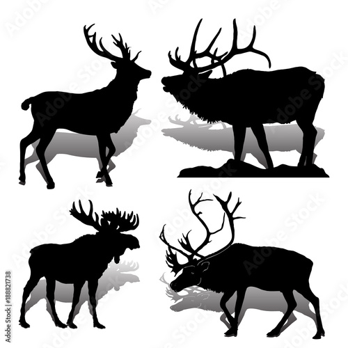 Collection Forest animals (mammals) Deer and moose, on white background,