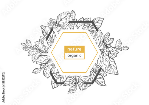 Vector template of mate tea