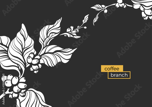 White branch of coffee tree. Vector