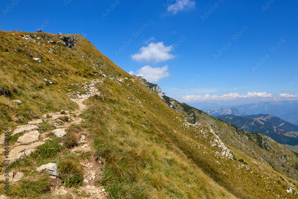 Fototapeta premium Monte Baldo. Italy. Walking one-day hikes through narrow stony paths.