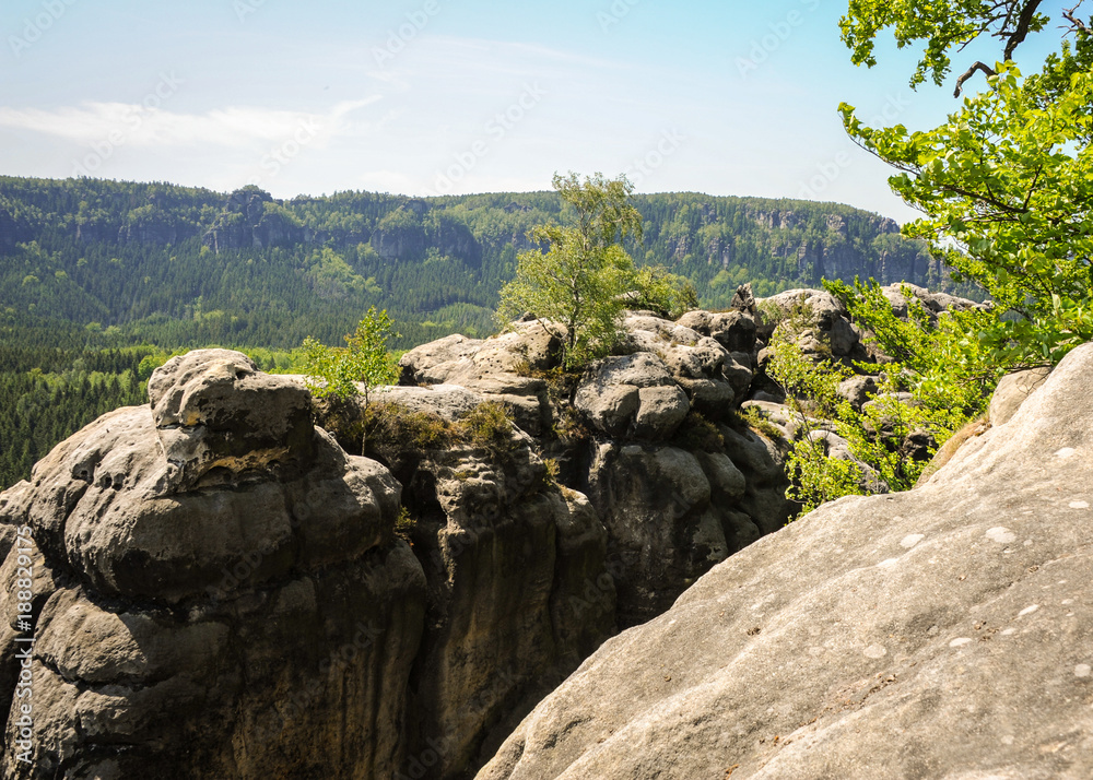 Some rocks in the Saxon Switzerland National Park