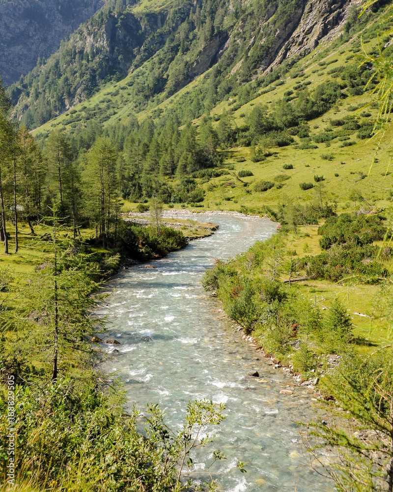 River in an alpine valley in summer River in an alpine valley in summer