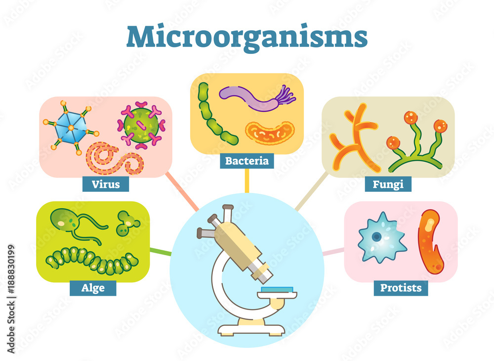 Microorganisms illustration vector set. 