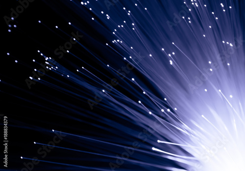 detail of growing bunch of optical fibers background, fast light signal for high speed internet connection concept
