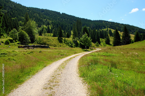 Lovely hiking path called "Geissenpfad" near Menzenschwand showing the amazing landscape in the southern Black Forest in Germany