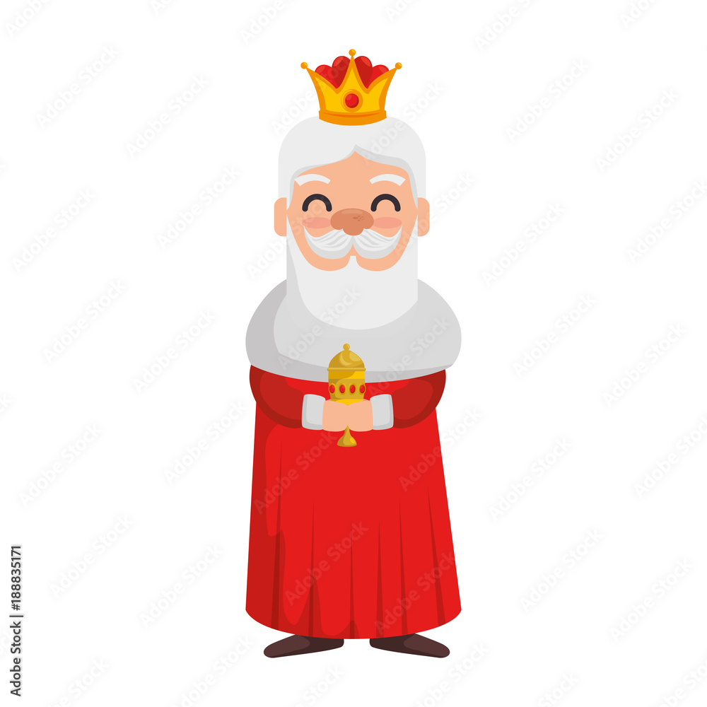 king wizard avatar character vector illustration design