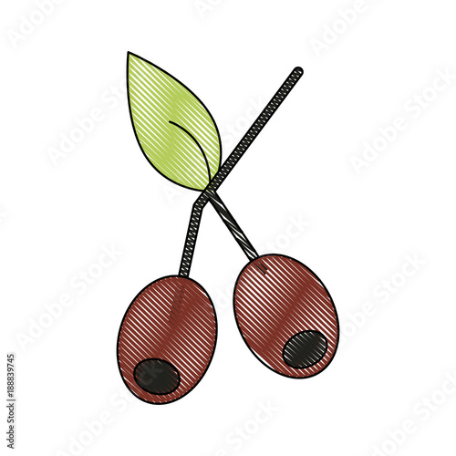 Coffee beans plant icon vector illustration graphic design