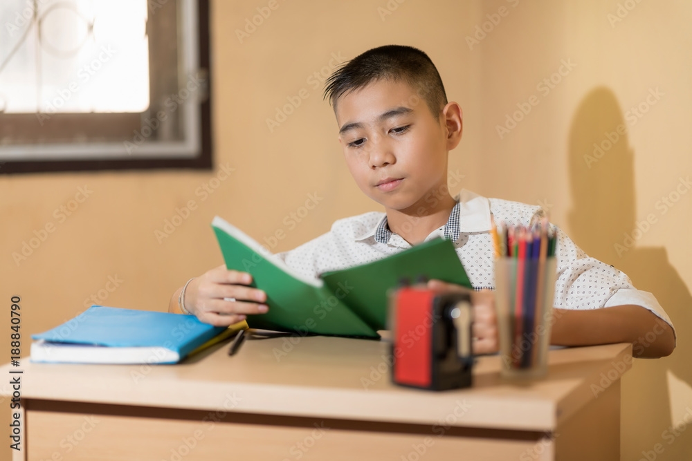 A serious schoolboy on homework at home. A serious schoolboy on homework at home.