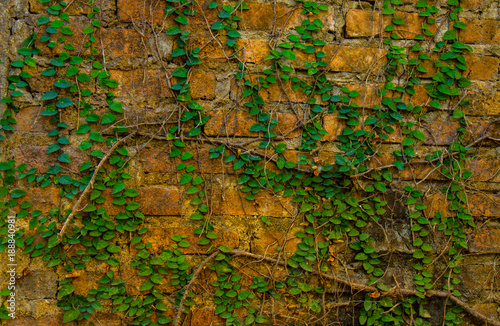 brick wall  Old wall background.