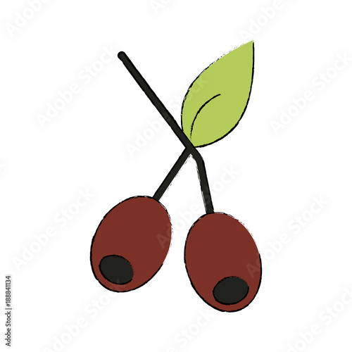 Coffee beans plant icon vector illustration graphic design