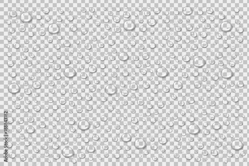 Vector realistic isolated water droplets for decoration and covering on the transparent background.