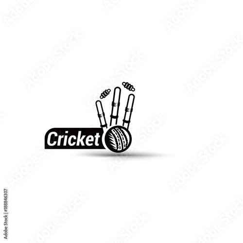 Vector cricket championship wicket photo
