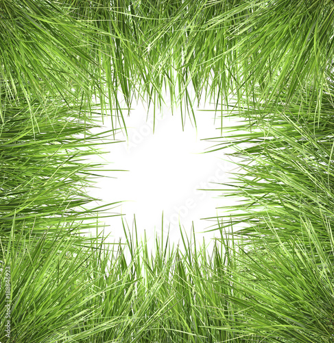 Frame of green grass  the edges of pictures isolated on white background