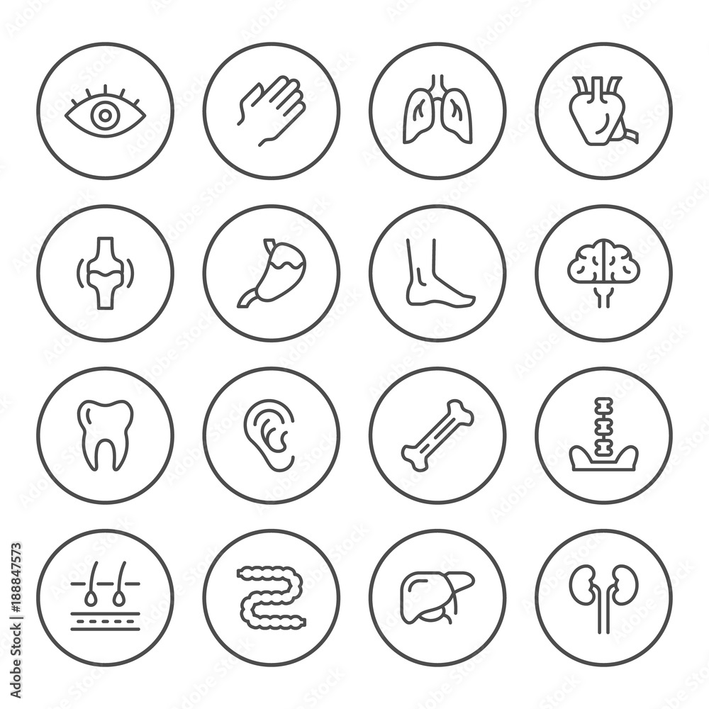 Set round line icons of human organs Set round line icons of human organs
