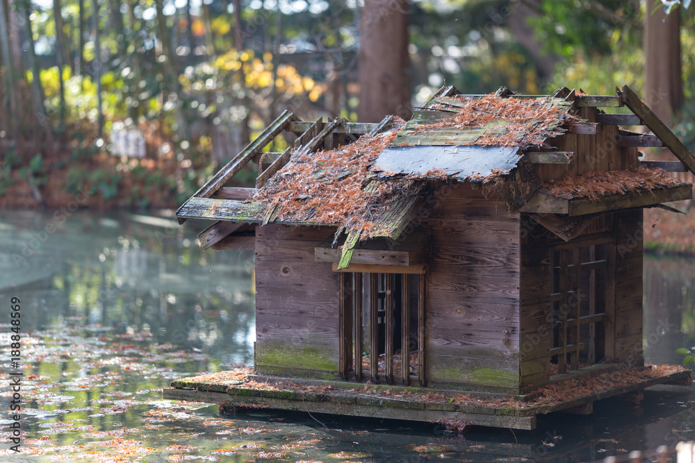池にある朽ちた小屋 rotten shack