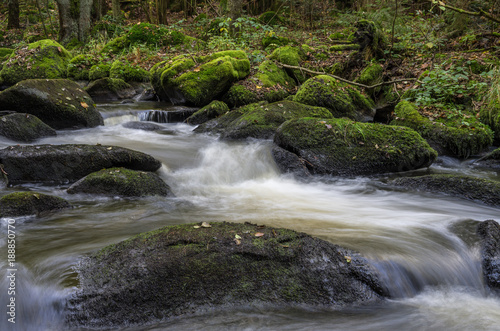 Forest river with rocks