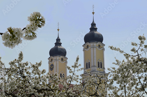 Klosterkirche Roggenburg photo