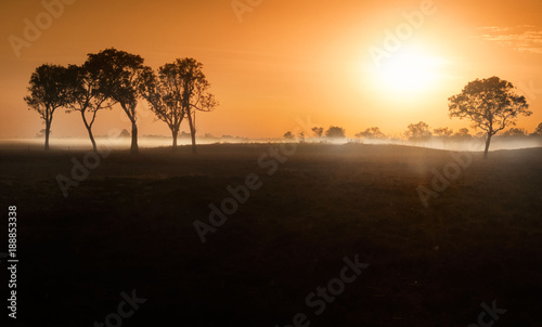 Dawn mist in the Australian Outback (Darwin, Northern Territory)