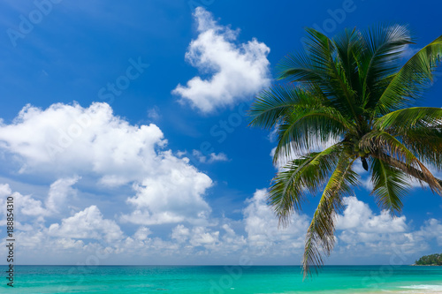 Fototapeta Naklejka Na Ścianę i Meble -  Blue sea and sky with coconut palm tree on Surin Beach, Phuket Island, Thailand.