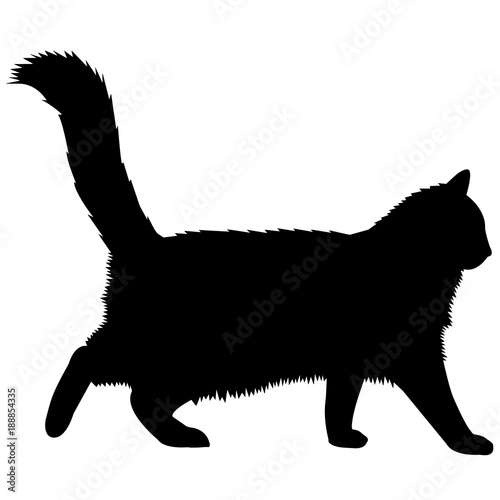 Norwegian Forest Cat Silhouette Vector Graphics
