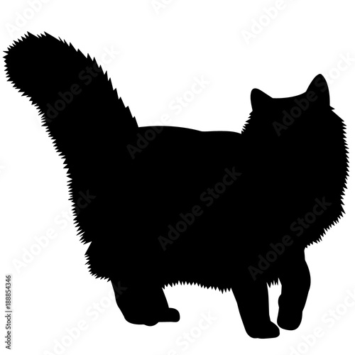 Canvas Print Norwegian Forest Cat Silhouette Vector Graphics