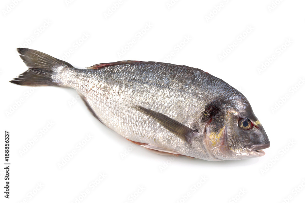 Fresh raw fish isolated on white background, with a clipping path top view. Fresh raw fish isolated on white background, with a clipping path top view.
