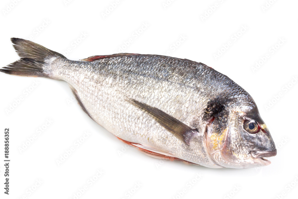 Fresh raw sea fish with green parsley isolated on white background, Healthy food concept, with a clipping path top view. Fresh raw sea fish with green parsley isolated on white background, Healthy food concept, with a clipping path top view.