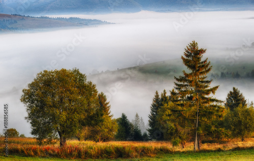 foggy morning. a picturesque autumn dawn in the Carpathian Mountains