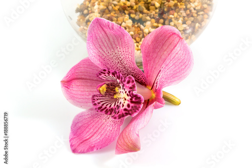 Fototapeta Naklejka Na Ścianę i Meble -  Close up beautiful pink flower, orchid flower, isolated on white background, with clipping path.