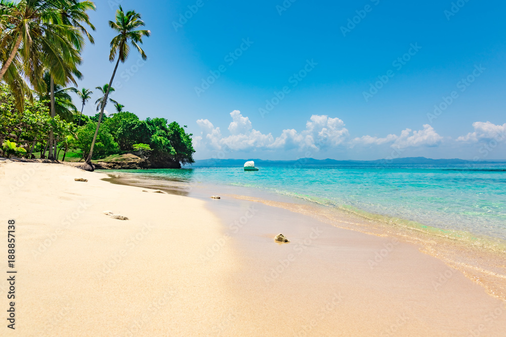 paradise beach beautiful white sand with palm tree in the resort of caribbean paradise beach beautiful white sand with palm tree in the resort of caribbean