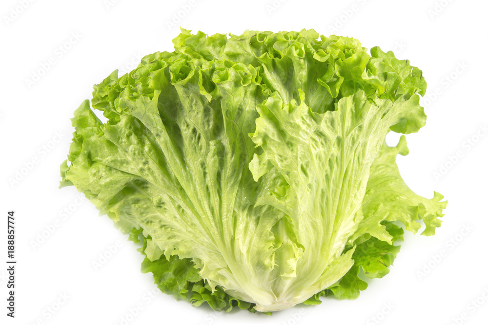 Fresh salad leaf, lettuce leaf isolated on white background, with clipping path Fresh salad leaf, lettuce leaf isolated on white background, with clipping path