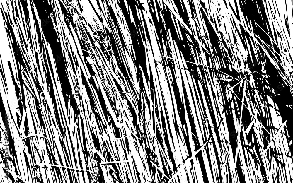 Black and White Grass Silhouette Texture Rustic Background Black and White Grass Silhouette Texture Rustic Background